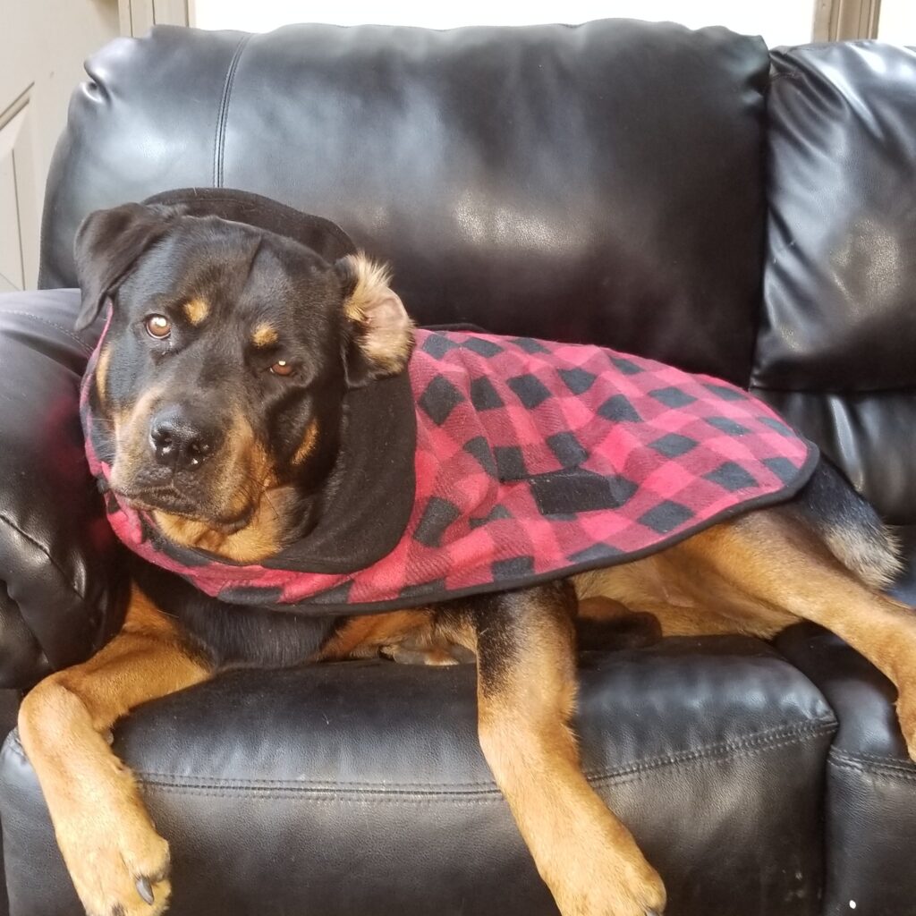 jesse coat